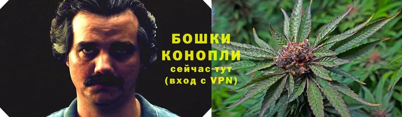 гидра сайт  Котово  Марихуана THC 21% 